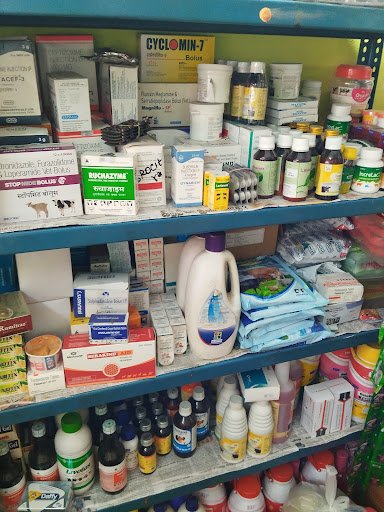 Raja medical stores
