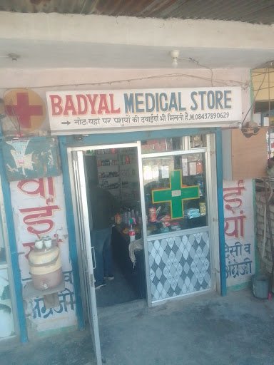 Badyal Medical Store