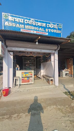 assam medical stores