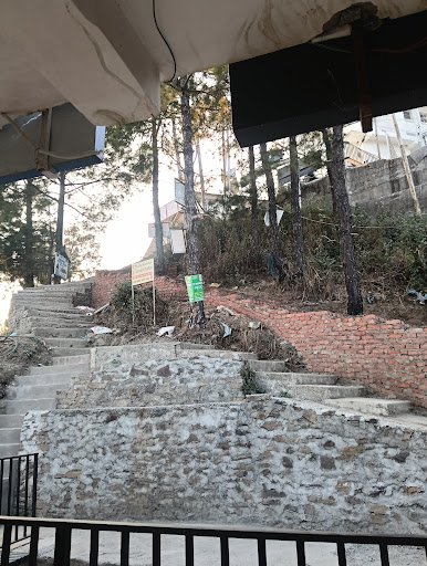 Bhardwaj medical store