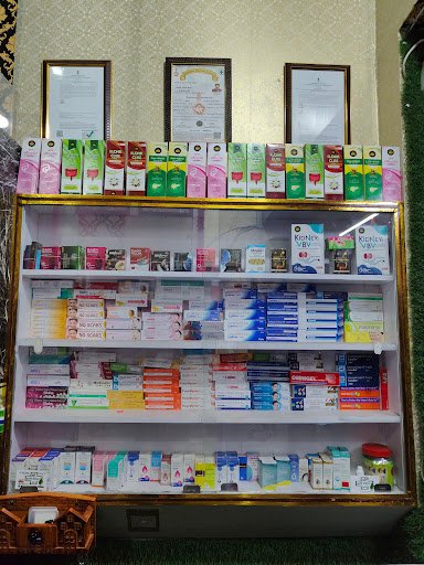 SHREE KARNI MEDICAL STORE SIKAR + 