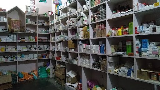 Shree Balajee Medical Stores