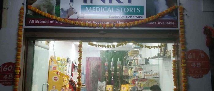 pinky medical stores