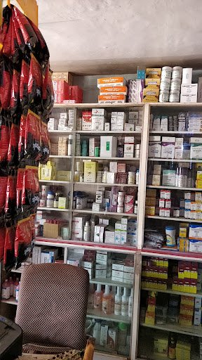 M/s. Lokmanya Medical Stores