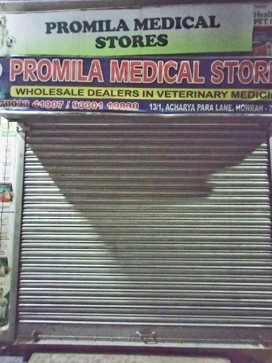 Promila Medical Store